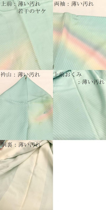 平和屋着物■訪問着　花鳥文　暈し染め　金彩　正絹　逸品　BAAX7112hv