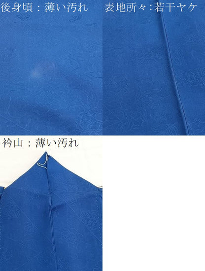 平和屋着物■訪問着　カトレア　正絹　逸品　BAAX7113hv
