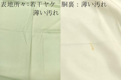 平和屋着物■訪問着　友禅　作家物　枝椿　正絹　逸品　BAAX7114hv