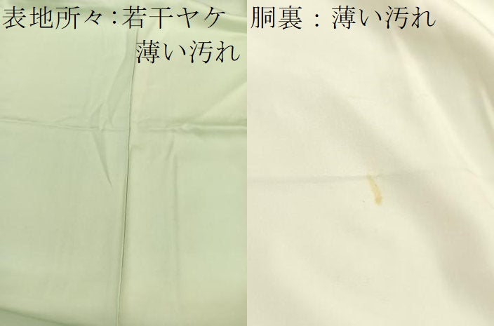 平和屋着物■訪問着　友禅　作家物　枝椿　正絹　逸品　BAAX7114hv