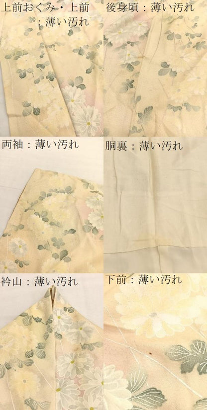 平和屋着物■上質な小紋　菊　暈し染め　大丸扱い　正絹　逸品　BAAX7130hv