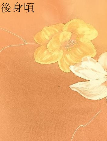 平和屋着物●上質な小紋　地紋起こし　草花文　暈し染め　正絹　逸品　BAAX7132hv