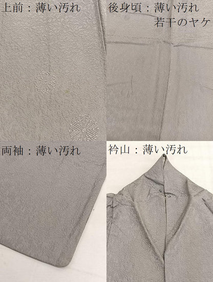 平和屋着物■上質な色無地　菊地紋　潤色　正絹　逸品　BAAX7139hv