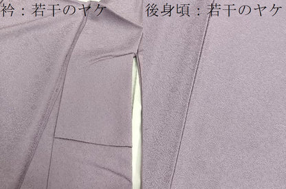 平和屋着物■上質な色無地　花唐草地紋　薄柿色　正絹　逸品　BAAX7149hv