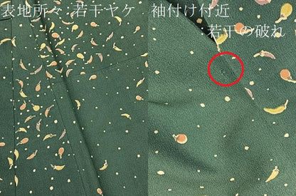 平和屋着物■上質な小紋　成り物　茄子に唐辛子　正絹　逸品　BAAX7151hv