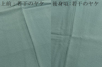 平和屋着物■上質な色無地　錆浅葱色　正絹　逸品　BAAX7157hv