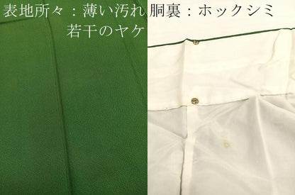 平和屋着物■上質な色無地　草色　正絹　逸品　BAAX7159hv
