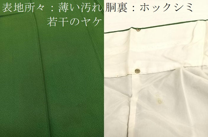 平和屋着物■上質な色無地　草色　正絹　逸品　BAAX7159hv