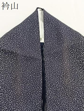 平和屋着物＊夏物　小紋　変わり絽　大小あられ　正絹　逸品　BAAX7203hv