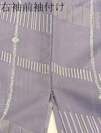 平和屋着物＊夏物　小紋　絽　エ霞文様　洗える着物　逸品　BAAX7209hv
