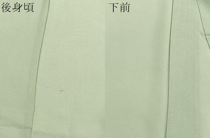 平和屋着物＊夏物　色無地　絽　夏虫色　正絹　逸品　BAAX7212hv