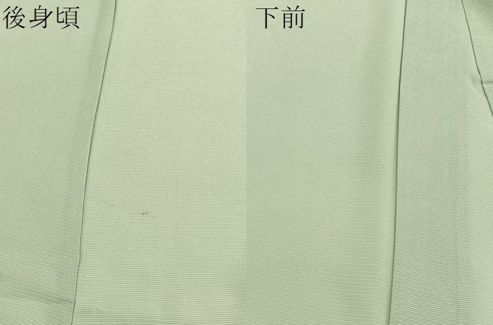 平和屋着物＊夏物　色無地　絽　夏虫色　正絹　逸品　BAAX7212hv