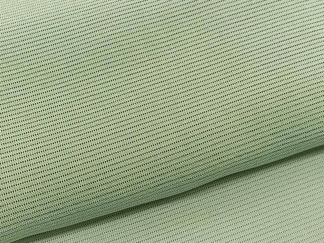 平和屋着物＊夏物　色無地　絽　夏虫色　正絹　逸品　BAAX7212hv