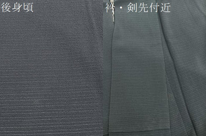 平和屋着物＊本加賀友禅作家　梶山伸監修　夏物　色無地　絽縮緬　仙斎茶色　正絹　逸品　BAAX7232hv