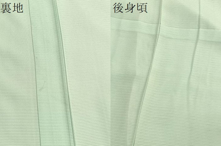 平和屋着物＊夏物　色無地　絽　夏虫色　正絹　逸品　BAAX7236hv