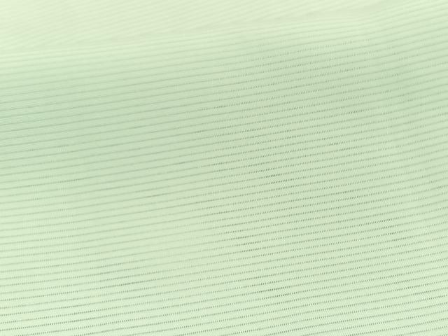 平和屋着物＊夏物　色無地　絽　夏虫色　正絹　逸品　BAAX7236hv