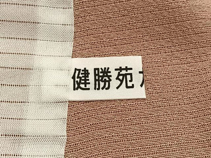 平和屋着物＊夏物　色無地　絽縮緬　赤香色　健勝苑扱い　反端付き　正絹　逸品　未使用　BAAX7240hv