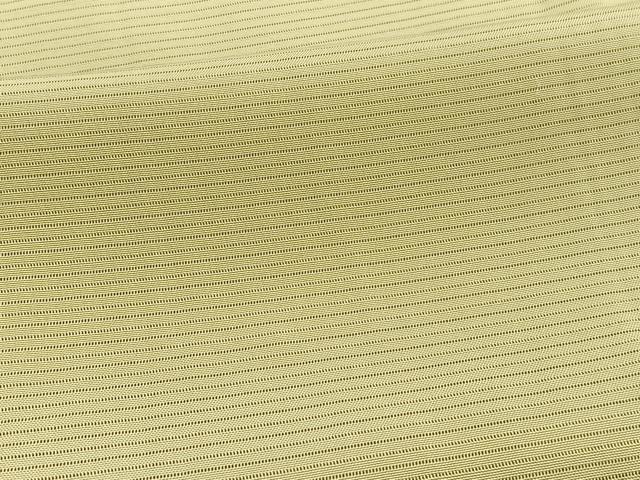 平和屋着物＊夏物　色無地　絽　枯草色　正絹　逸品　BAAX7254hv