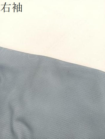 平和屋着物＊夏物　訪問着　絽　更紗花唐草文　暈し染め　金彩　洗える着物　BAAX7270hv