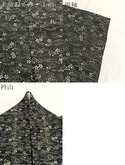 平和屋着物＊夏物　小紋　絽　型染め　吹き寄せ花文　黒地　正絹　逸品　BAAX7275hv