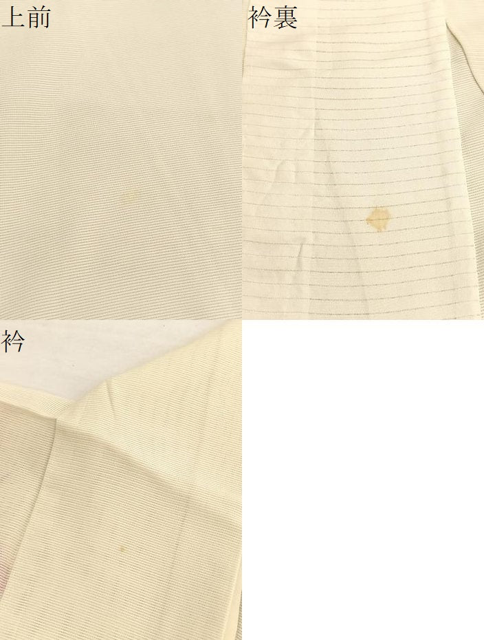 平和屋着物＊夏物　訪問着　絽　枝花文　銀彩　正絹　逸品　BAAX7283hv