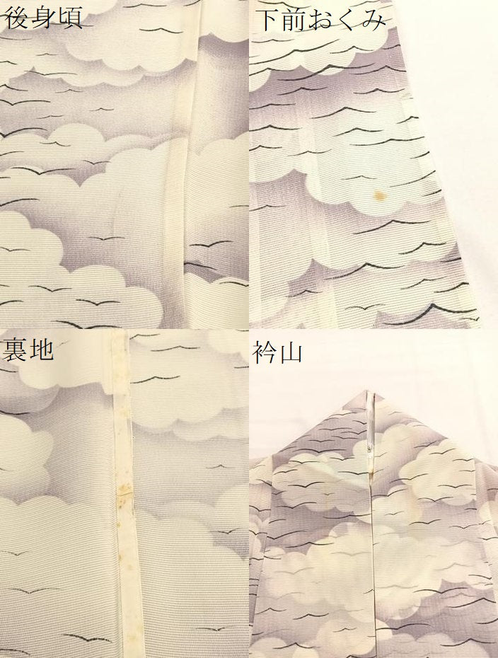 平和屋着物＊夏物　小紋　絽　瑞雲飛鳥文　暈し染め　正絹　逸品　BAAX7290hv