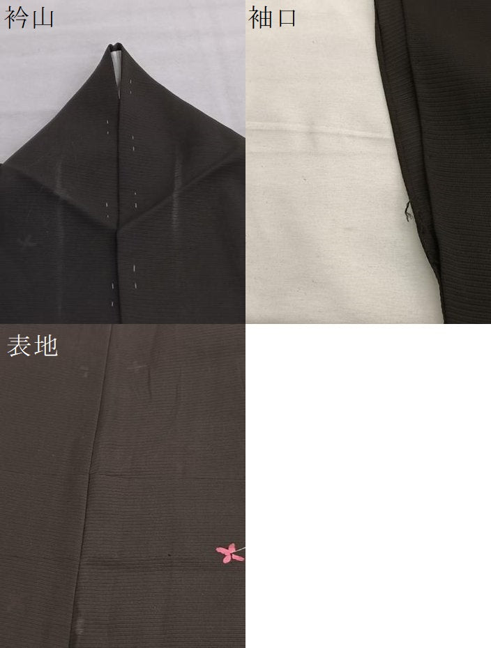 平和屋着物＊夏物　小紋　絽　枝花文　黒地　正絹　逸品　BAAX7296hv