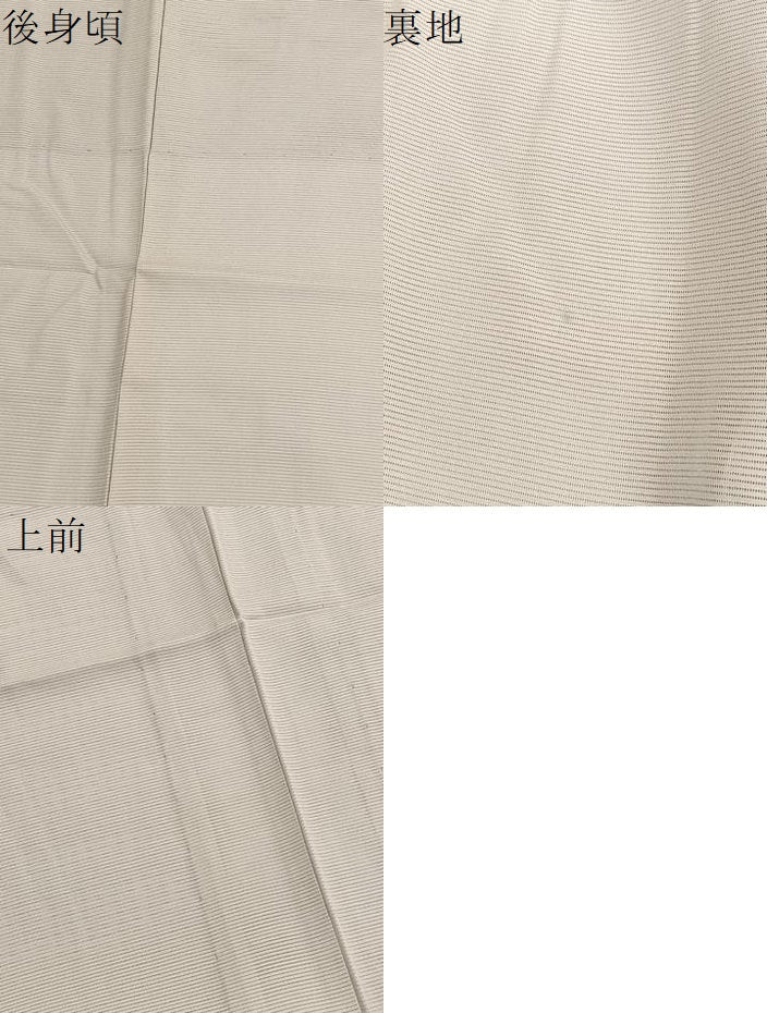 平和屋着物＊夏物　訪問着　絽　手描き　枝花文　暈し染め　正絹　逸品　BAAX7298hv