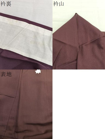 平和屋着物＊夏物　訪問着　絽　色紙有職楓文　銀彩　正絹　逸品　BAAX7299hv