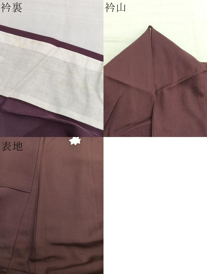 平和屋着物＊夏物　訪問着　絽　色紙有職楓文　銀彩　正絹　逸品　BAAX7299hv