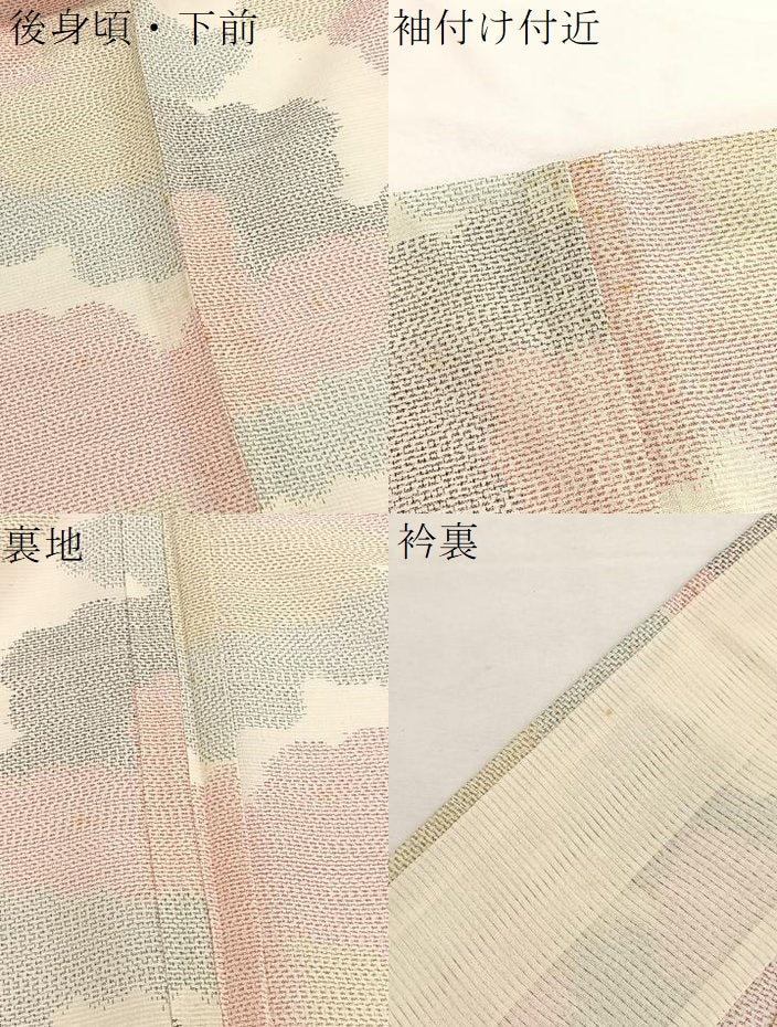 平和屋着物＊夏物　紗紬　瑞雲　正絹　逸品　BAAX7306hv
