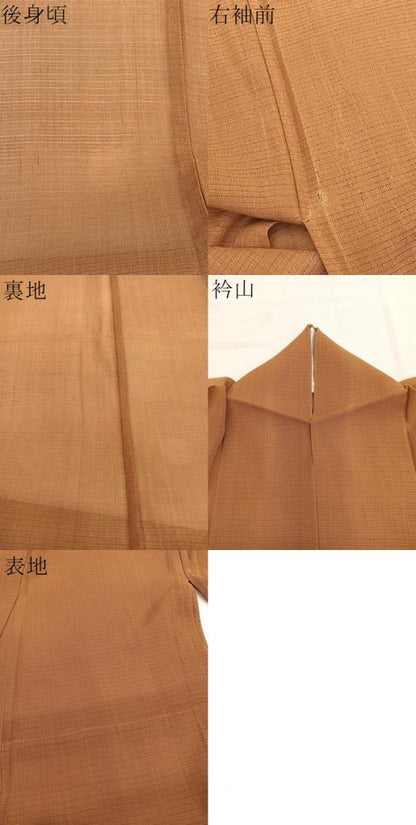 平和屋着物＊夏物　色留訪問着　絽紬　総刺繍　菊　銀糸　正絹　逸品　BAAX7308hv