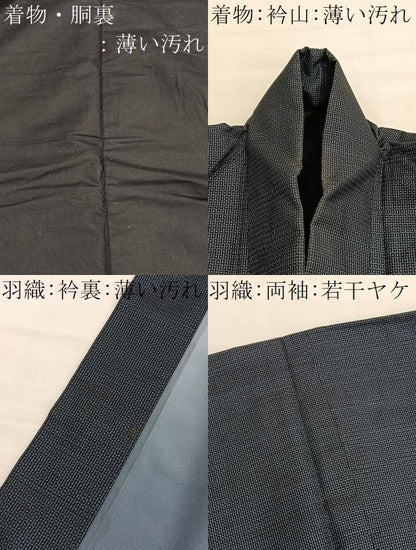 平和屋着物■男性　本場大島紬　アンサンブル　100亀甲　総詰め　正絹　逸品　BAAX7317hv