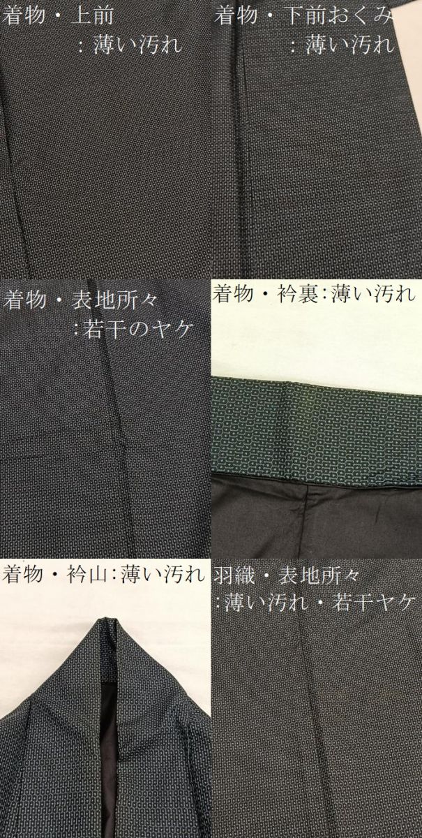 平和屋着物■男性　本場大島紬　アンサンブル　100亀甲　総詰め　正絹　逸品　BAAX7320hv