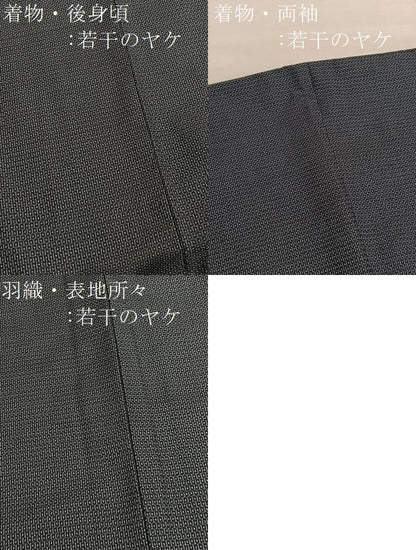 平和屋着物■男性　本場大島紬　アンサンブル　100亀甲　総詰め　正絹　逸品　BAAX7322hv