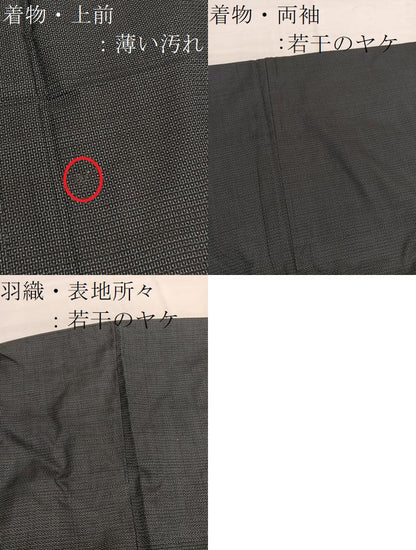 平和屋着物■男性　本場大島紬　アンサンブル　100亀甲　総詰め　正絹　逸品　BAAX7328hv