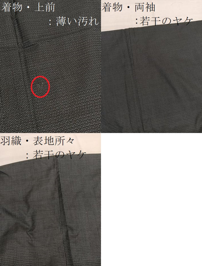 平和屋着物■男性　本場大島紬　アンサンブル　100亀甲　総詰め　正絹　逸品　BAAX7328hv