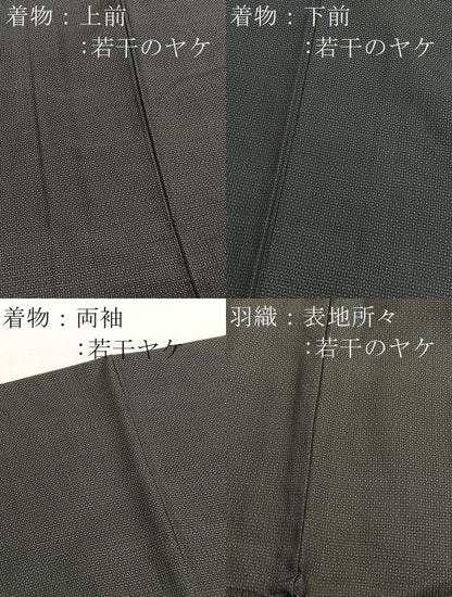 平和屋着物■男性　本場大島紬　アンサンブル　100亀甲　総詰め　正絹　逸品　BAAX7334hv