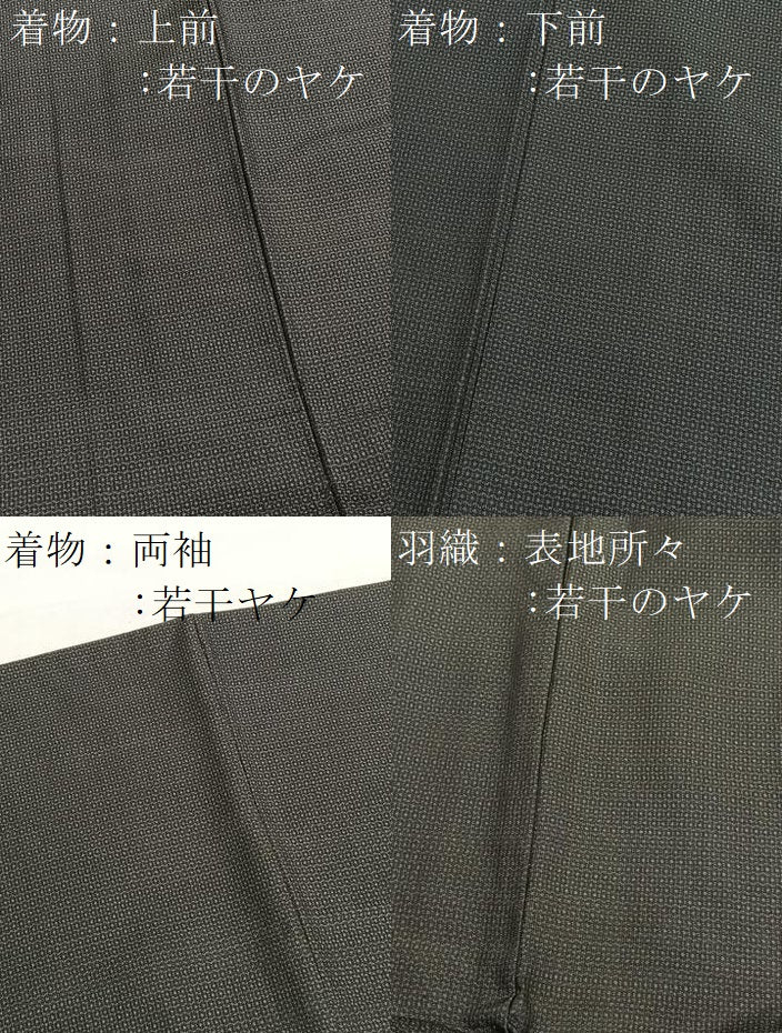 平和屋着物■男性　本場大島紬　アンサンブル　100亀甲　総詰め　正絹　逸品　BAAX7334hv