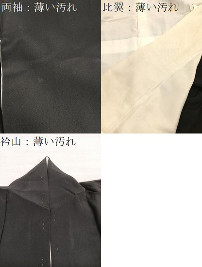 平和屋着物■豪華黒留袖　総刺繍　雲取り有職花文　金銀糸　正絹　逸品　BAAX7346hv