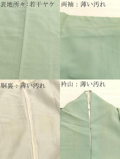 平和屋着物■上質な色無地　裏葉柳色　正絹　逸品　BAAX7347hv