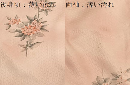 平和屋着物■訪問着　手描き　枝花文　暈し染め　正絹　逸品　未使用　BAAX7370hv