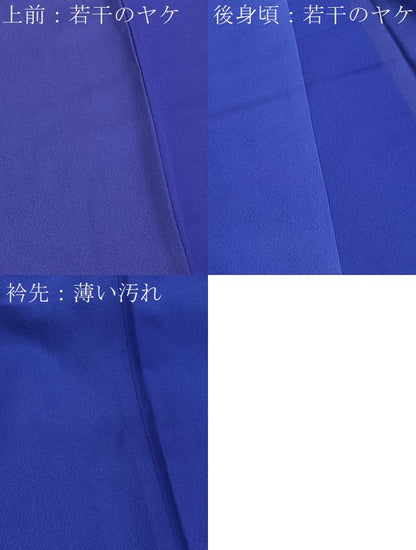 平和屋着物■訪問着　枝花文　暈し染め　正絹　逸品　BAAX7372hv