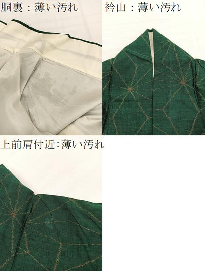 平和屋着物■上質な紬　麻の葉文　正絹　逸品　BAAX7375hv