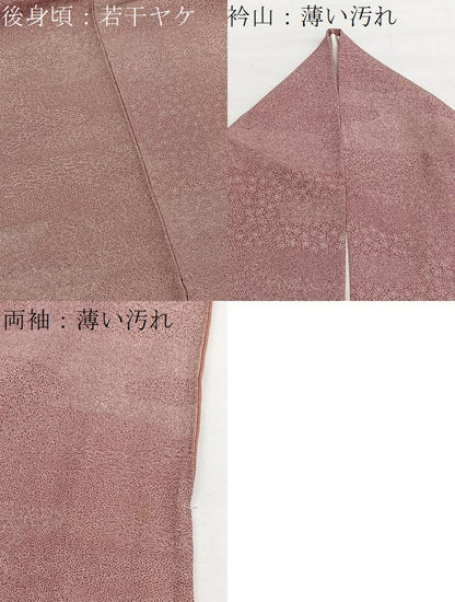 平和屋着物■木下正夫　江戸小紋　エ霞有職花文　正絹　逸品　BAAX7378hv