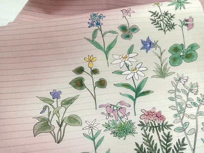 平和屋着物＊夏物　絽塩瀬　九寸名古屋帯　作家物　手描き　草花文　正絹　逸品　BAAX7569hv
