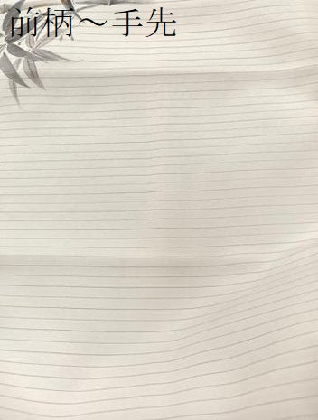 平和屋着物＊夏物　絽塩瀬　太鼓柄袋帯　手描き　笹竹文　金彩　正絹　逸品　BAAX7905hv