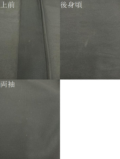 平和屋着物＊夏物　小紋　紗　陶器花鳥文　黒地　洗える着物　BAAX8056mz