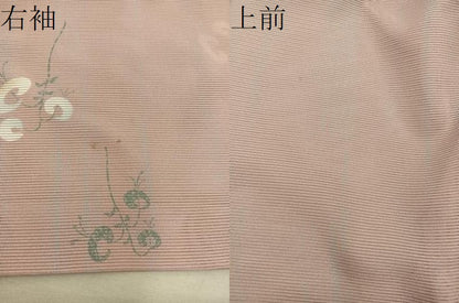 平和屋着物＊夏物　小紋　絽　枝葉文　洗える着物　BAAX8058mz