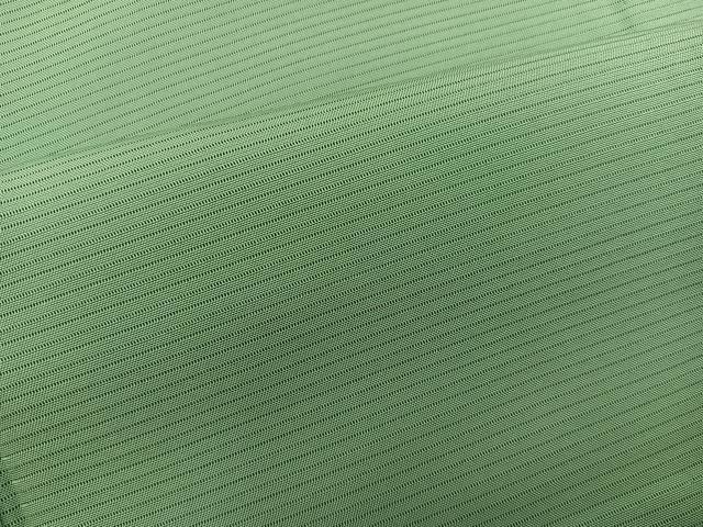 平和屋着物＊夏物　色無地　絽　若葉色　正絹　逸品　BAAX8101mz